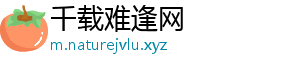千载难逢网